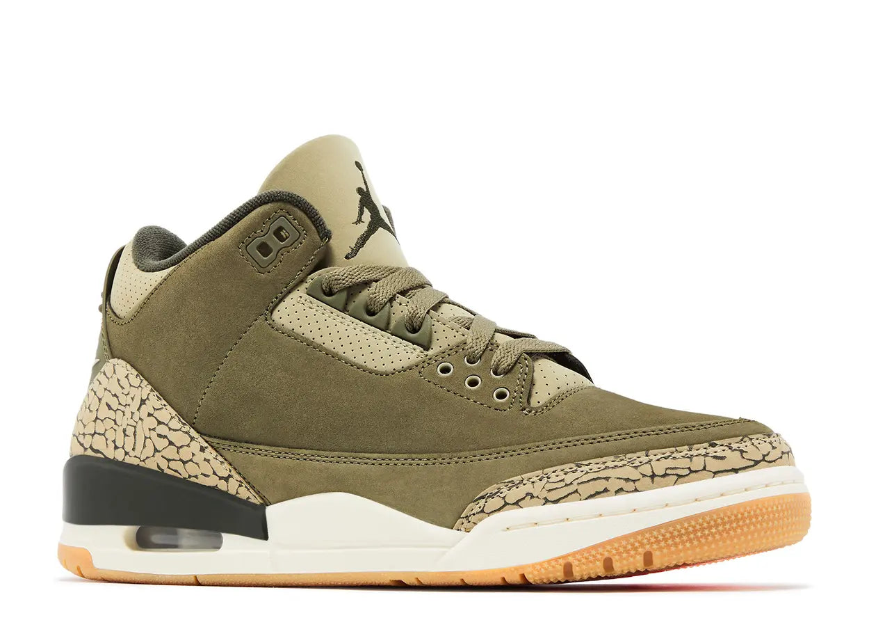 Jordan 3 Retro 'Family Affair'