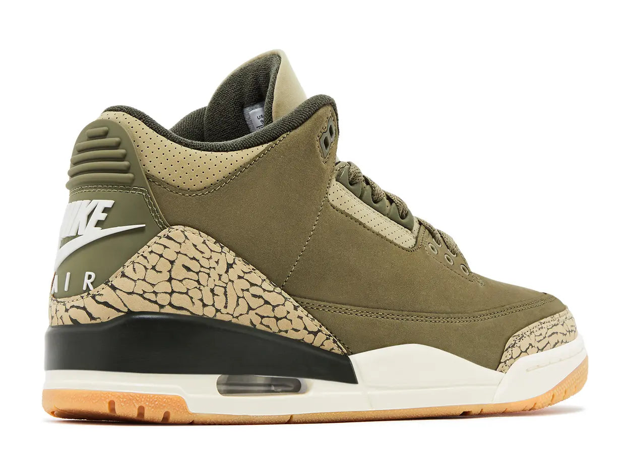 Jordan 3 Retro 'Family Affair'